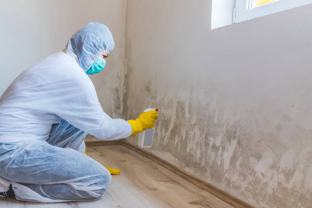 Mold Remediation specialist working in Bunnlevel